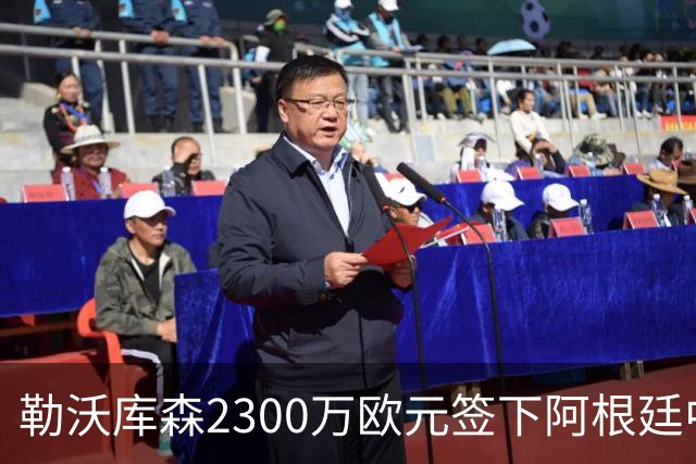勒沃库森2300万欧元签下阿根廷中卫梅迪纳